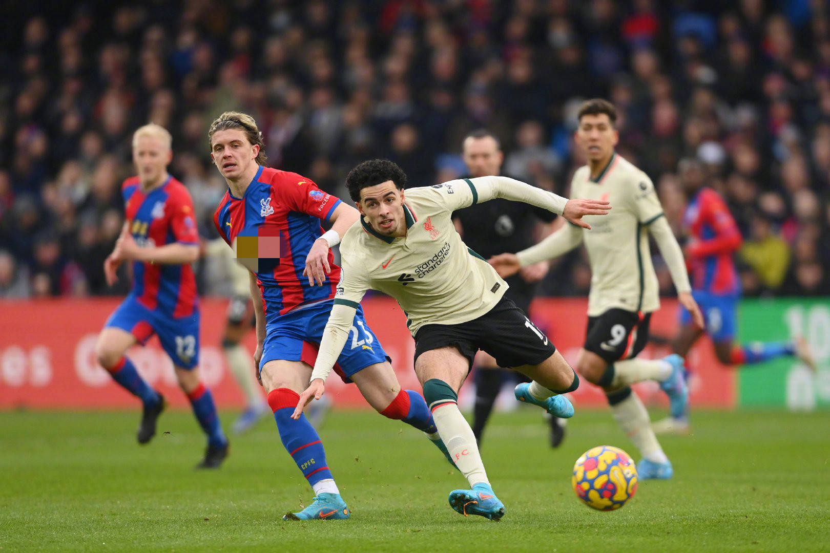 不论是关于 不论是关于